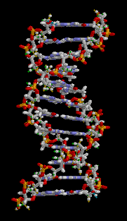 DNA.gif