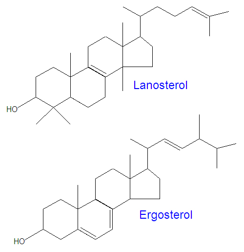 File:Lanosterol ergosterol.jpg