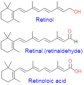 Retinol and related.png