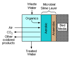 File:Trickle Filter Cross-section.png