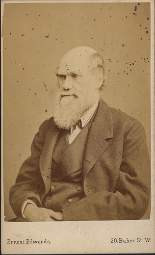 File:Charles Robert Darwin portrait.jpg