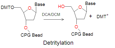 File:Phosphoramidite detritylation2.png