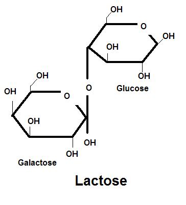 В масле есть лактоза. Lactose. Лактоза анимация. Лактоза картинка для детей. Лактоза и ее производные.