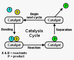 Catalysis.png