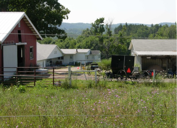 File:Amish farm 2992.JPG