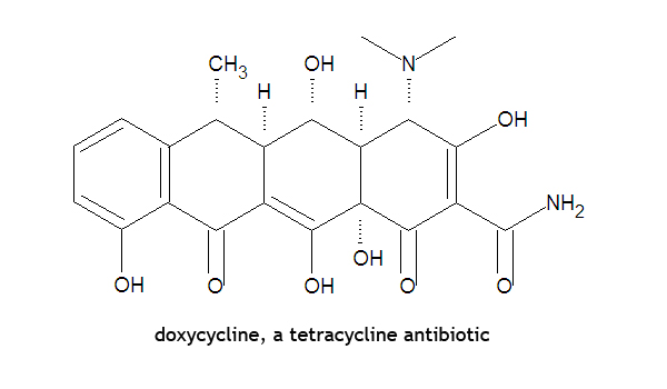 File:Doxycycline DEVolk.jpg