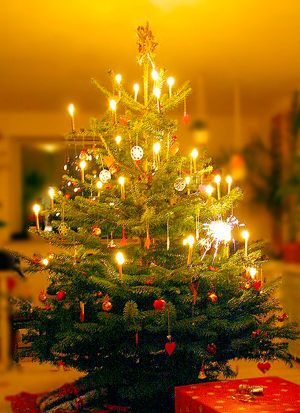 File:Image-Juletræet.jpg