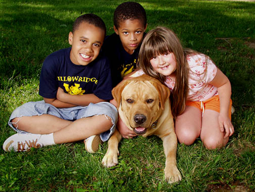 File:Labrador retriever and children.jpg