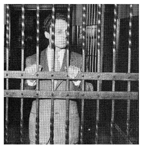 File:Reaver behind bars.jpg