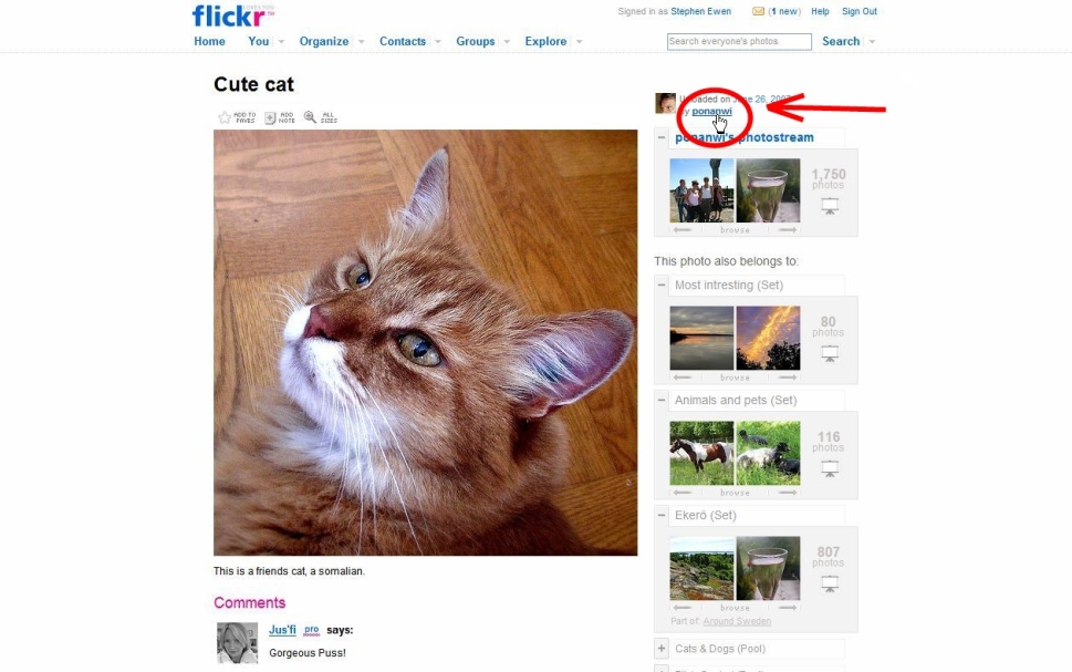 Flickr help 1.jpg