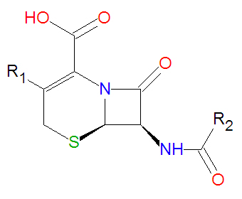 File:Cephalosporin base.jpg