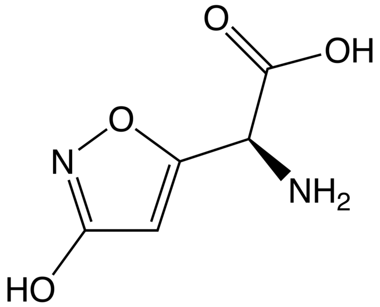 File:Ibotenic acid.png