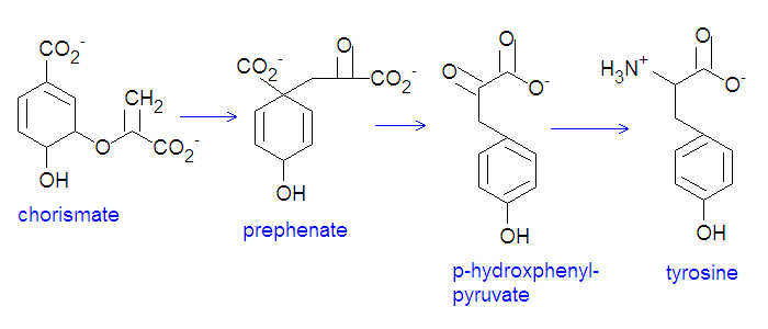 File:Tryosine synthesis.jpg