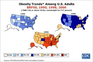 Obesity Trends US Adults 1990-2006.JPG