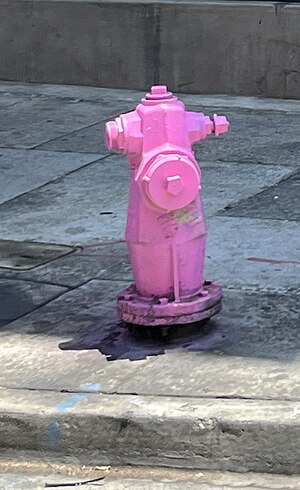 Pink fire hydrant Main Street (Los Angels) July 2022 (cropped).JPG