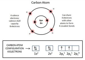 Carbon atom.JPG