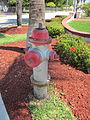 Pearl City Boca Raton June 2010 Hydrant 1.jpg