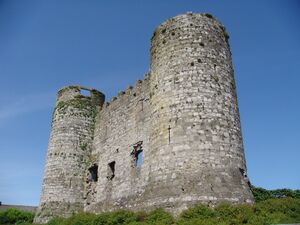 Carlow Castle, 2009.jpg