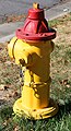 Fire Hydrant Reference -10.jpg