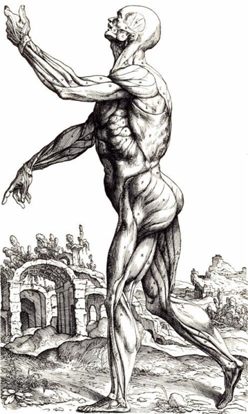 File:Figure accompanying Fabrica- Table 2, Book 2.png