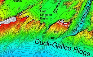 NOAA map of Duck Galloo Ridge (cropped) showing Timber, Swetman, Main Duck and Yorkshire islands, and some subsurface shoals.jpg