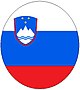 Flag of slovenia.jpg