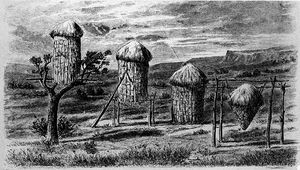 (PD) Drawing: Stephen Powers Acorn granaries in a Miwok village.