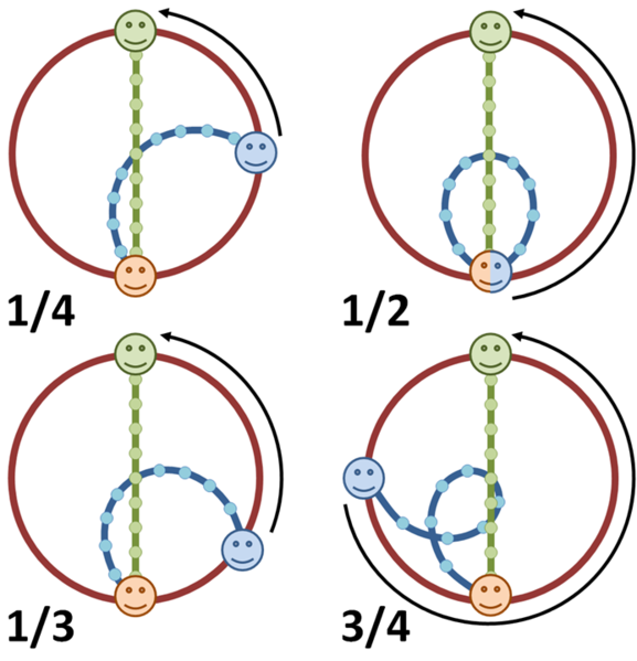File:Carousel for four rates of rotation.PNG