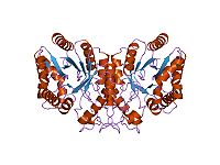 PDB 1xkj EBI.jpg