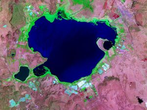 Lake Naivasha Kenya.jpg