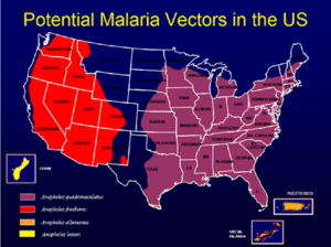 Map us malaria vectors.png