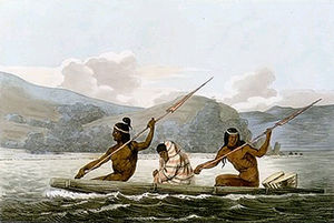(PD) Painting: Louis Choris The Ohlone, Coast Miwok, and Bay Miwok all utilized utilized tule in the construction of boats for use in the San Francisco Bay estuary. Northern groups of Chumash also used tule to build reed fishing canoes.[2]