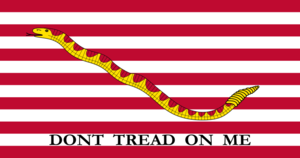 Naval Jack of the United States.svg.png
