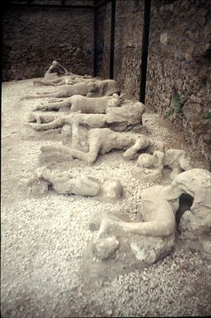 Pompeii plaster cast, 2011.jpg