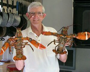 Picture of a man holding two lobsters.