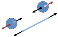 Rotating spheres subject to centrifugal (outward) force in a co-rotating frame in addition to the (inward) tension from the rope.