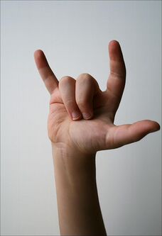 I love you in American Sign Language.