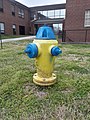 Colorful fire hydrant in Jefferson City.jpg