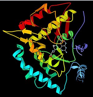 Phenylalanine hydroxylase brighter.jpg