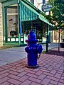 Purple fire hydrant, South Main Street, Naples, New York - 20210610.jpg