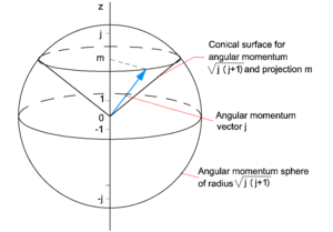Quantum angular momentum.png