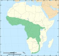Distribution of the forest cobra (Naja melanoleuca)