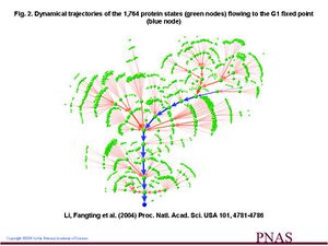 Yeast protein network.jpg