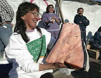 A portion of bowhead whale from a successful hunt is shared by an Inupiaq Eskimo at Nalukataq, the spring whaling festival.