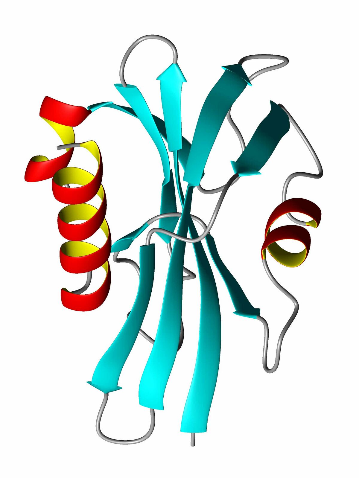 protein-structure-citizendium