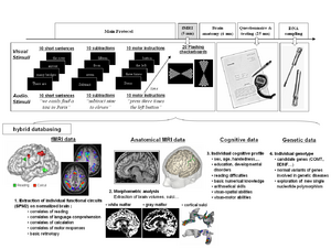 Neuroimaging workflow.png