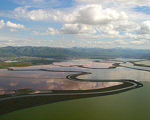 San Francisco Bay Area salt ponds.jpg