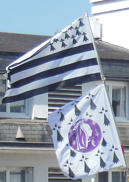 File:Brittany flags at demo.jpg
