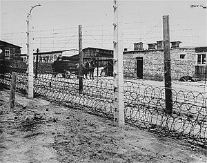 Fence at Flossenbürg concentration camp.jpg