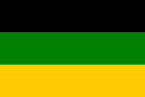 ANC flag.png
